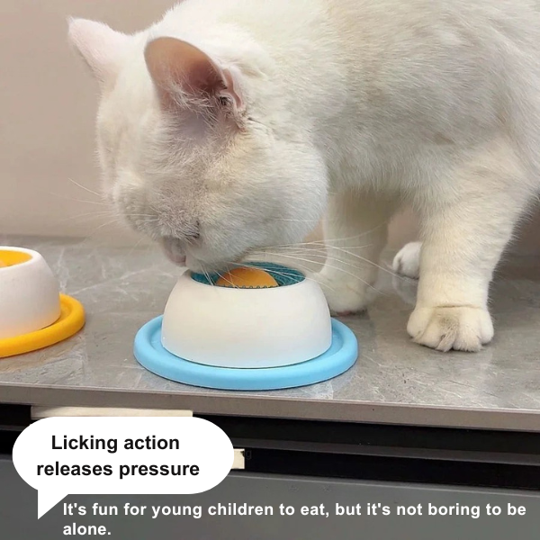 Slow Feeder Food Dispenser