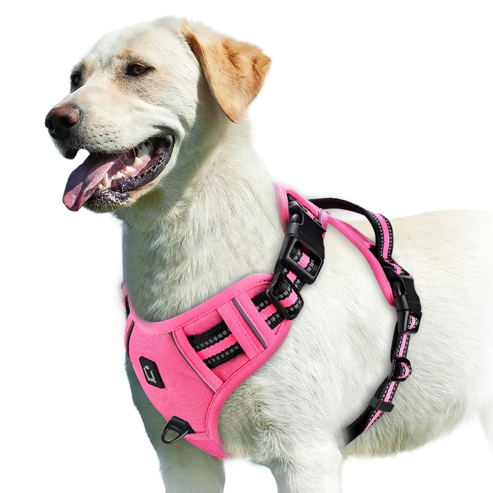 Adjustable Soft Padded Vest