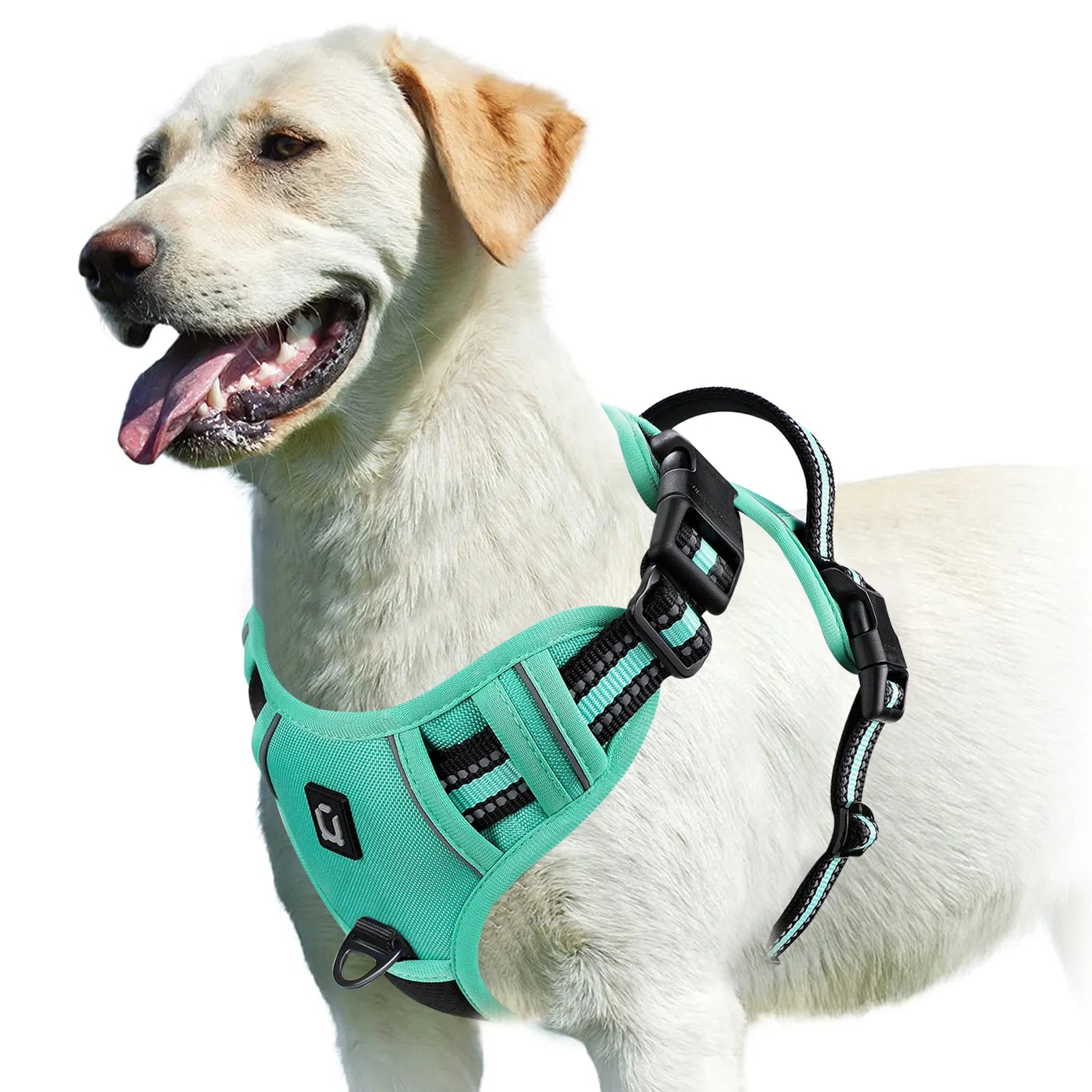 Adjustable Soft Padded Vest