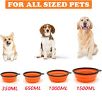Collapsible silicone travel bowl
