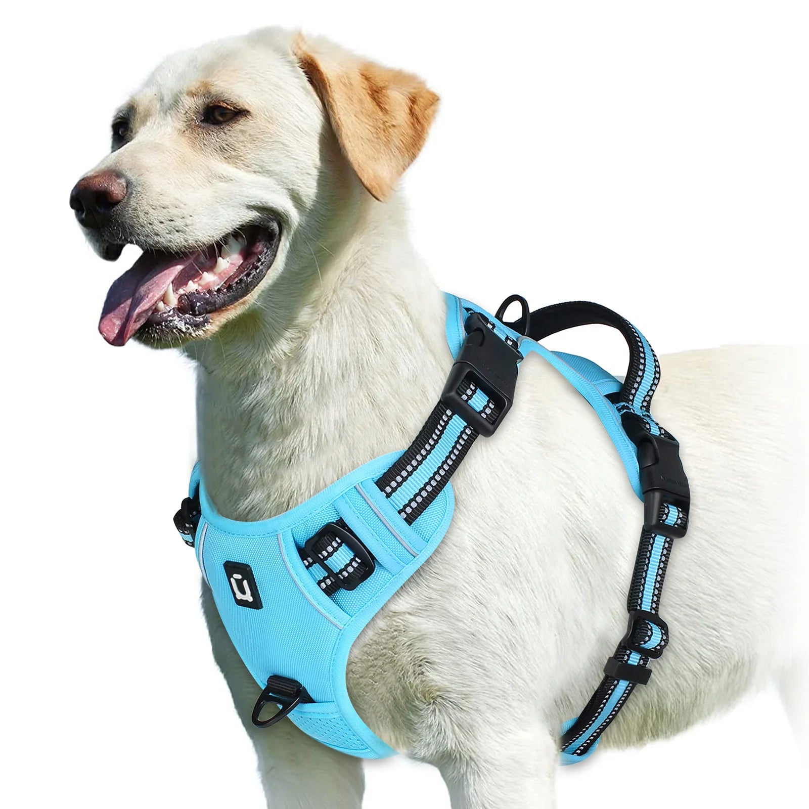 Adjustable Soft Padded Vest