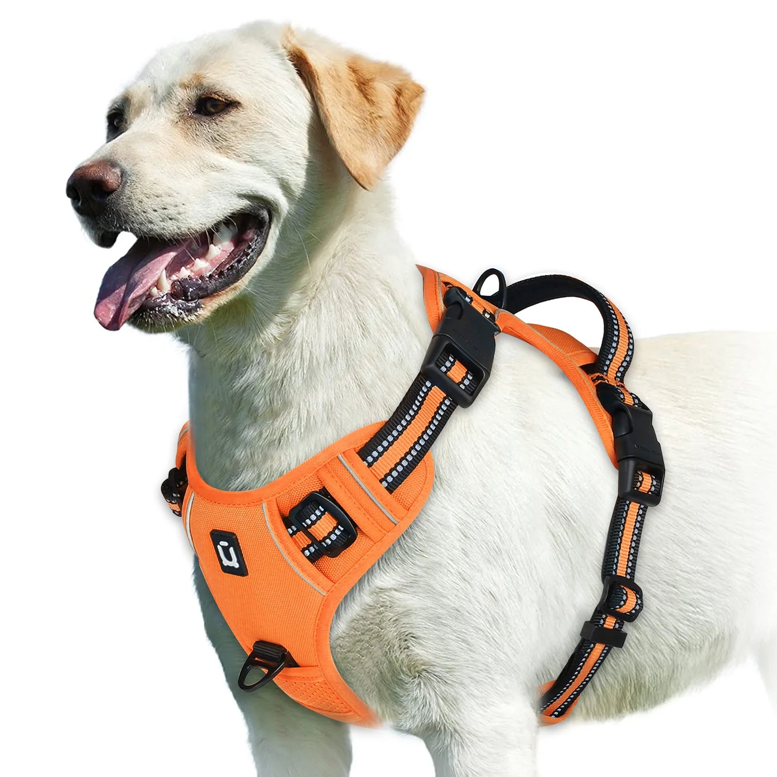 Adjustable Soft Padded Vest