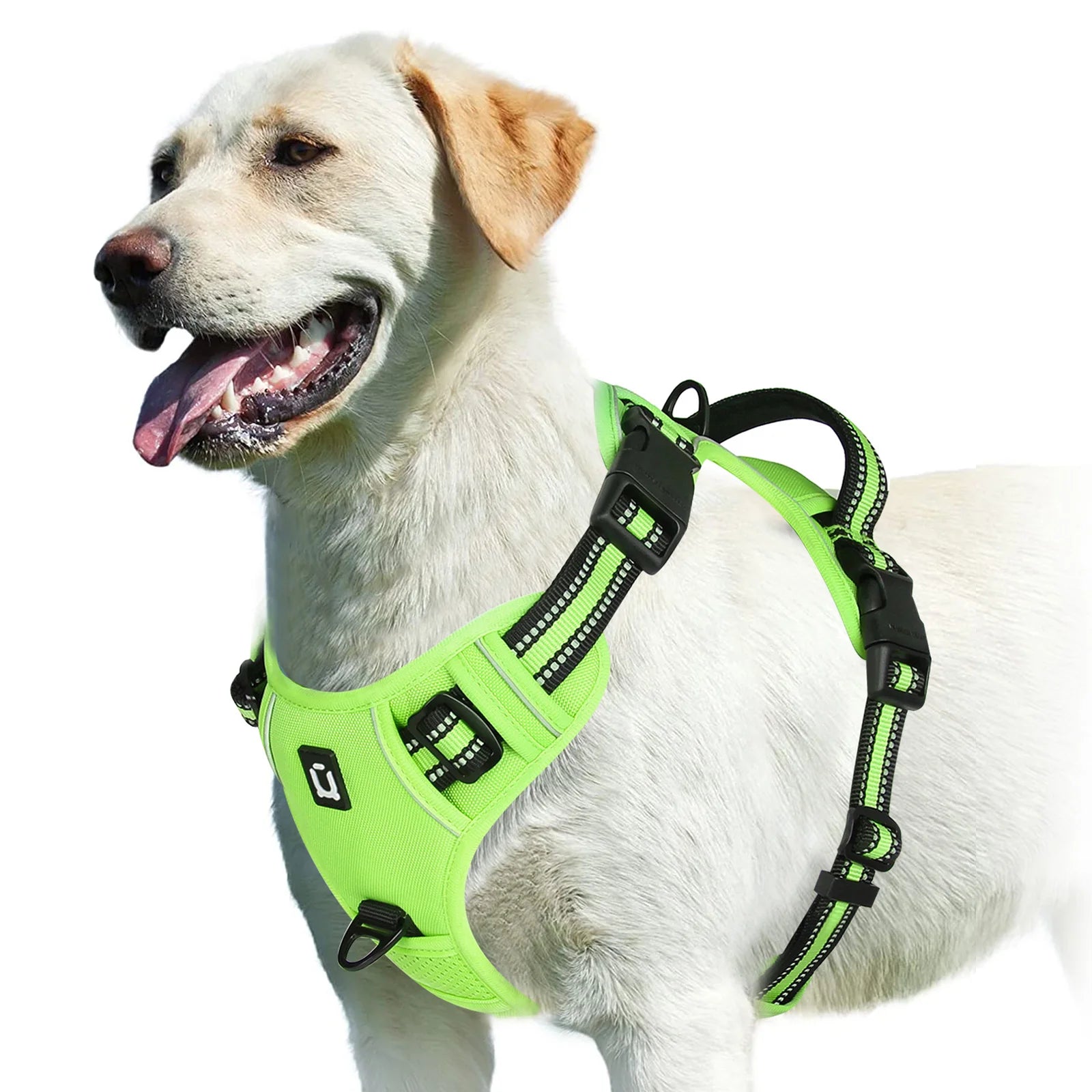 Adjustable Soft Padded Vest