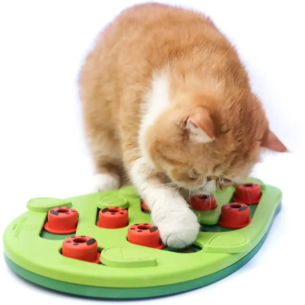 Non toxic Cat Puzzle Treat Toy
