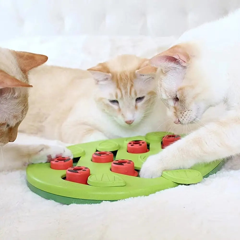 Non toxic Cat Puzzle Treat Toy
