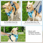 Adjustable Soft Padded Vest