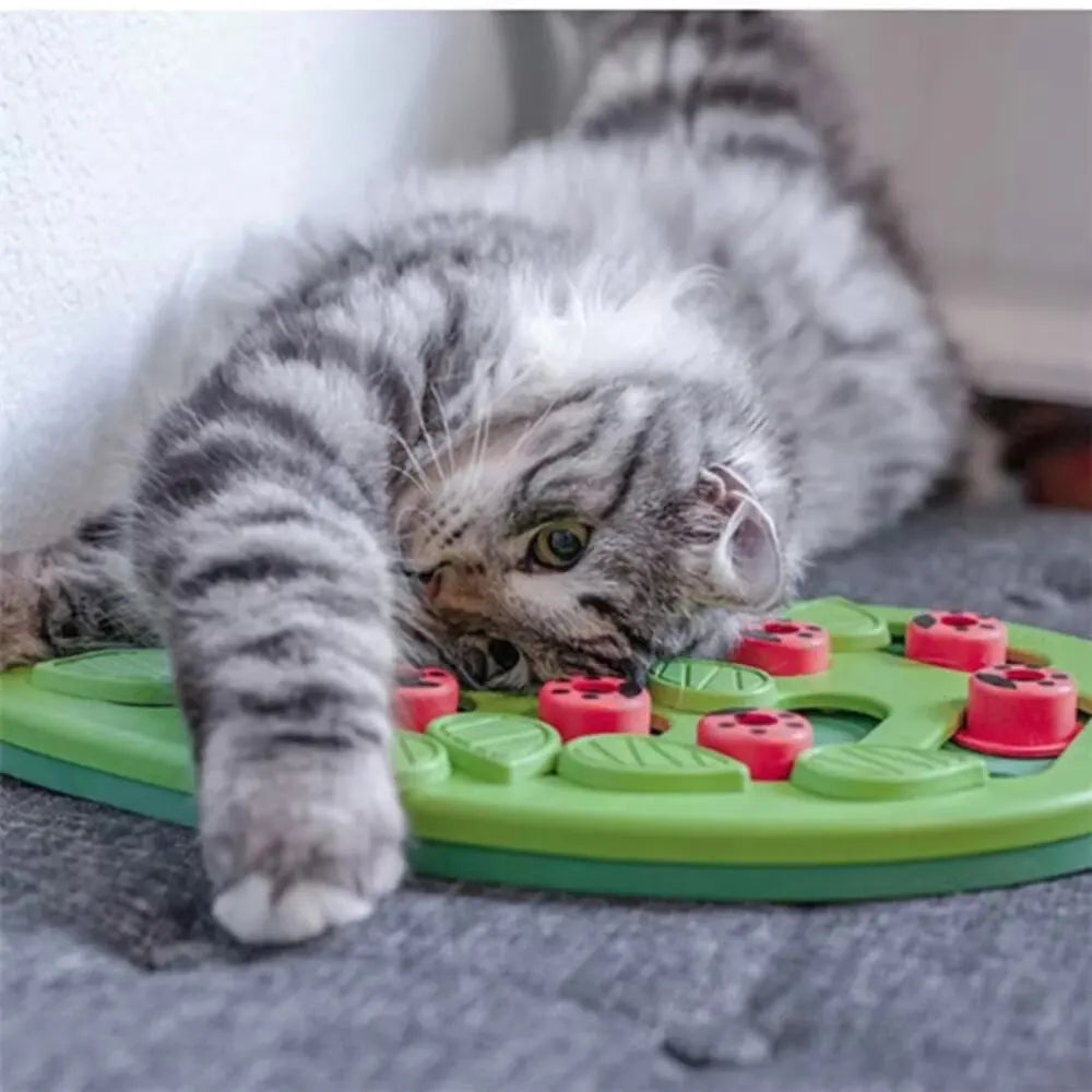 Non toxic Cat Puzzle Treat Toy