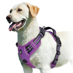 Adjustable Soft Padded Vest