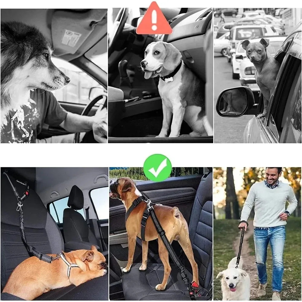 2-in-1 Adjustable Pet Car Seatbelt Restraint Tether